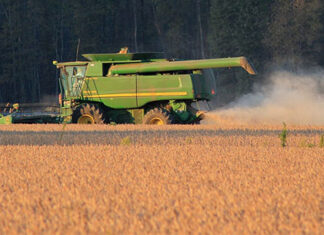 Aukcje poleasingowe – co warto wiedzieć? Aukcje poleasingowe