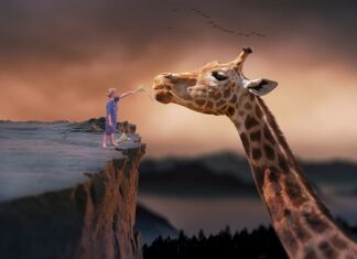 Jak tanio i dobrze żyć?