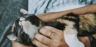 W jakim kraju jest najlepsza opieka zdrowotna?