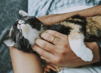 W jakim kraju jest najlepsza opieka zdrowotna?