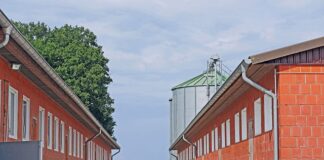 Jakie dotacje dla bezrobotnych 2023?