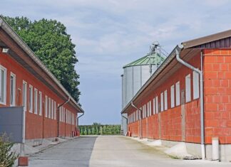 Jakie dotacje dla bezrobotnych 2023?