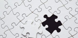 Czy pracodawcą może sprawdzić historię zatrudnienia?