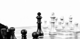 Jakie są poziomy studiow?