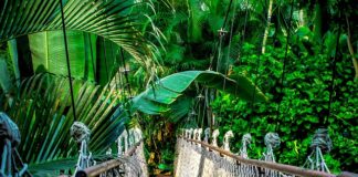 Ile kosztuje kurs angielskiego w Londynie?