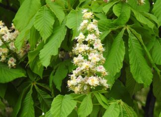 Co jak nie mam matury? Co jak nie mam matury?