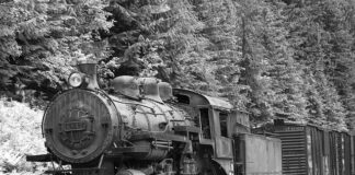 Kto płaci PCC od sprzedaży zorganizowanej części przedsiębiorstwa?