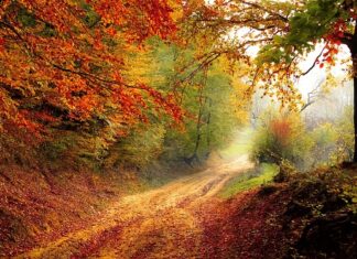 Czy spadek można od razu sprzedać? Czy spadek można od razu sprzedać?