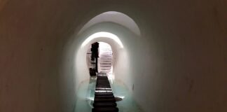 Jak bukmacherzy ustalają kursy?