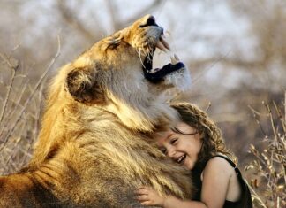 Jak wyłączyć obiekt inteligentny Photoshop? Jak wyłączyć obiekt inteligentny Photoshop?