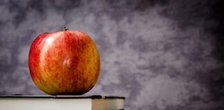 Ile jest klas IB w Polsce?