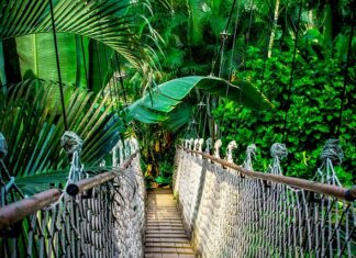 Jak stworzyć i sprzedać kurs online?