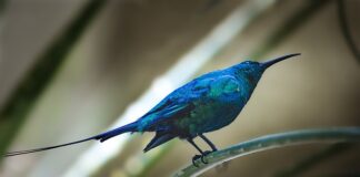 Czy na fakturze musi być imię i nazwisko nabywcy?