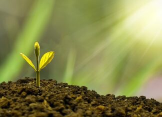 Jak rozwój technologii wpływa na rozwój społeczeństwa? Jak rozwój technologii wpływa na rozwój społeczeństwa?