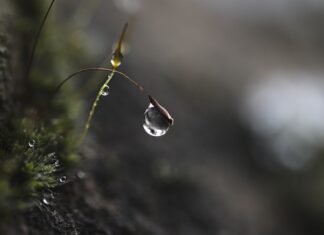 Na czym polega strategią selektywna?