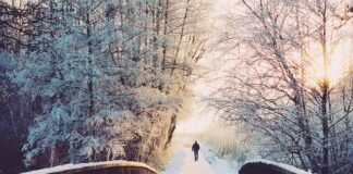 Czy przysługują dni wolne na poszukiwanie pracy?