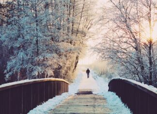 Czy przysługują dni wolne na poszukiwanie pracy? Czy przysługują dni wolne na poszukiwanie pracy?