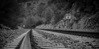 Dlaczego warto się szkolić?