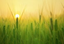 Co interesuje młodych ludzi?