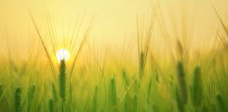 Co interesuje młodych ludzi?