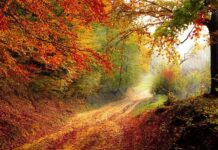 Kiedy będzie spadek cen materiałów budowlanych?