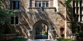 Co jest lepsze Yale czy Harvard?