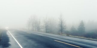 Jak sprawdzić widoczność firmy?