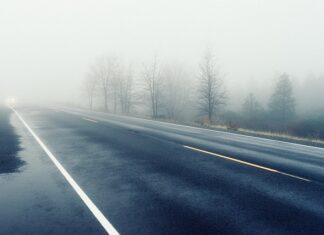 Jak sprawdzić widoczność firmy?