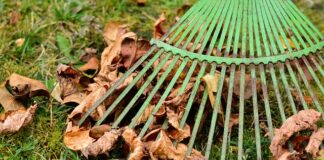 Czy prowizja wchodzi do podstawy wynagrodzenia za urlop?