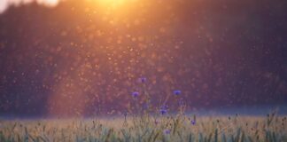 Po co są punkty edukacyjne?