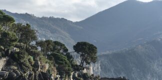 Ile kosztuje jeden dzień pobytu w szpitalu w Niemczech?