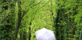 Jak znaleźć to co się lubi robić?