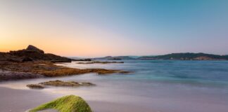 Ile za godzinę na zlecenie?