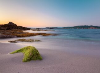 Ile za godzinę na zlecenie?