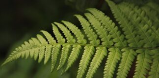 Od czego najlepiej zacząć gdy chcesz rozszerzyć obecność firmy w mediach społecznościowych poza rynek krajowy?