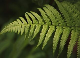 Od czego najlepiej zacząć gdy chcesz rozszerzyć obecność firmy w mediach społecznościowych poza rynek krajowy?