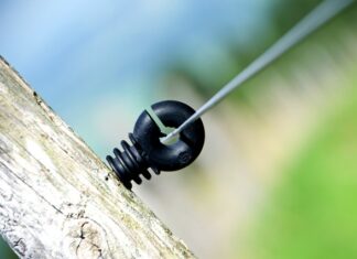 Ile Polaków Studiowało na Yale?