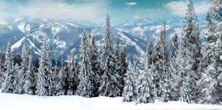 Jakie są pierwsze studia?