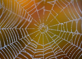 Czy wynagrodzenie zasadnicze to netto?