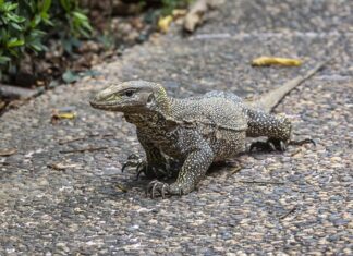 Jak obejść skierowanie do pracy z urzędu pracy? Jak obejść skierowanie do pracy z urzędu pracy?