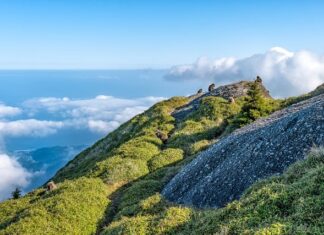 Co to znaczy TQM? Co to znaczy TQM?