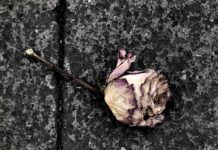 Co grozi za odejście z pracy z dnia na dzień? Co grozi za odejście z pracy z dnia na dzień?