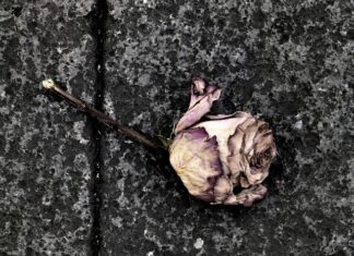 Co grozi za odejście z pracy z dnia na dzień? Co grozi za odejście z pracy z dnia na dzień?