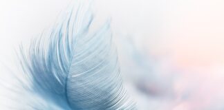 Co to jest platforma Kafeteryjna?