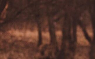 Na czym polega profesjonalna obsługa klienta podaj przykłady? Na czym polega profesjonalna obsługa klienta podaj przykłady?