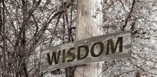 Czy można dostać stypendium na studiach podyplomowych?