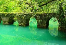 Czy pisze się lic przed nazwiskiem?