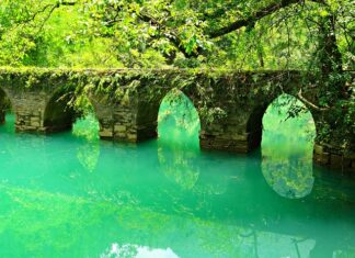 Czy pisze się lic przed nazwiskiem? Czy pisze się lic przed nazwiskiem?