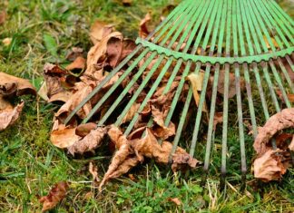 Czy prowizja jest składnikiem wynagrodzenia? Czy prowizja jest składnikiem wynagrodzenia?