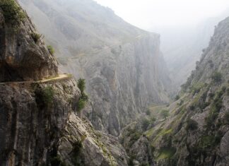 Czy dba to doktor? Czy dba to doktor?